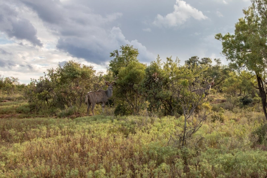 3 Bedroom Property for Sale in Boschfontein A H North West